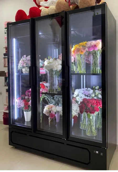 Tirane, Shitet Frigorifer Freskues marka Klima Italia