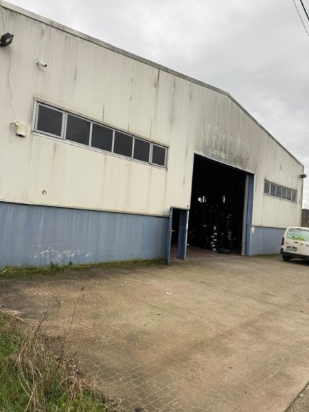 Tirane, jap me qera magazine Kati 0, 500 m² 1.500 € (City Park)