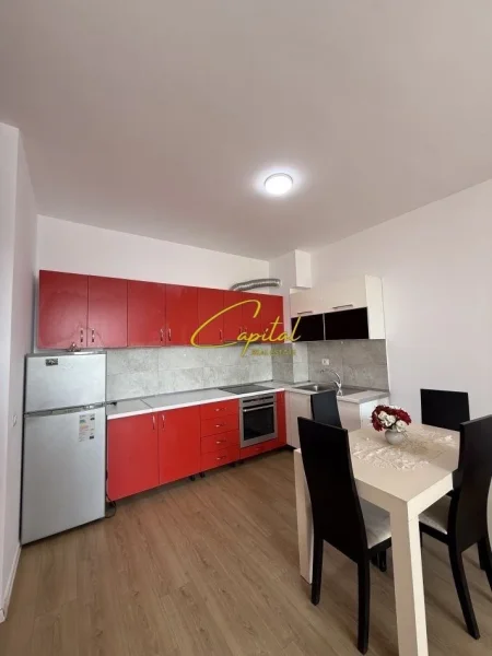 Tirane, jepet me qera apartament 1+1 Kati 5, 66 m² 450 € (YZBERISHT)