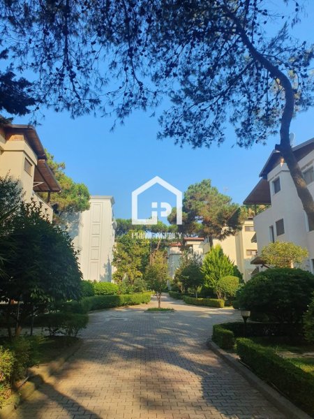 shitet Vile 3 Katshe , 650.000 € (QERRET)