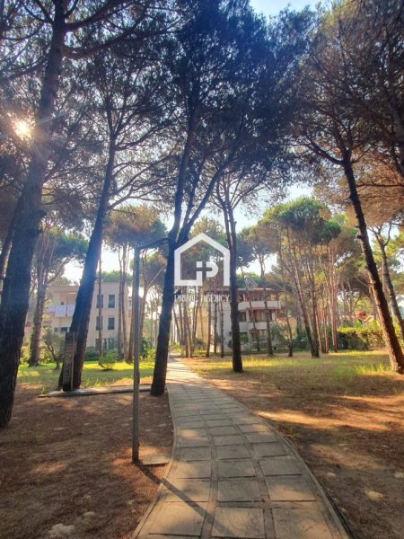 shitet Vile 3 Katshe , 650.000 € (QERRET)