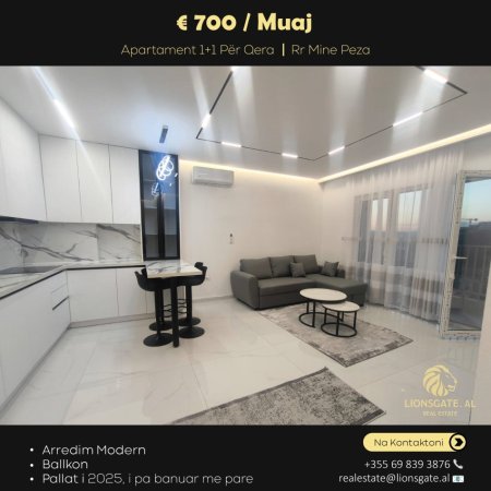 Tirane, jap me qera apartament 1+1 , 65 m² 700 € (Mine Peza)