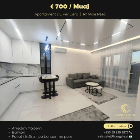 Tirane, jap me qera apartament 1+1 , 65 m² 700 € (Mine Peza)