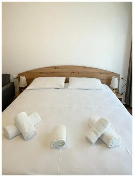 Tirane, jepet me qera apartament 1+1 , 97 m² 1.200 € (komuna parisit)