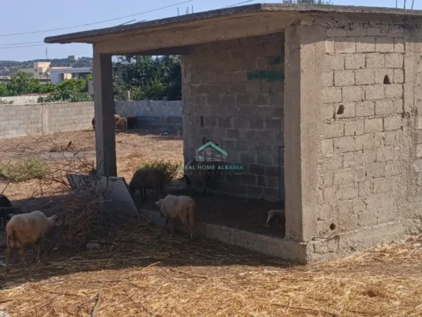 Vlore, shitet toke , 400 m² 150.000 € (VLORE)