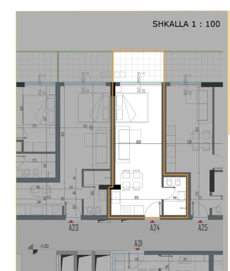 Tirane, shitet garsonier 1+1 Kati 1, 65 m² (golem)