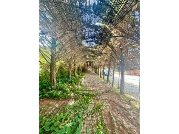 Tirane, shes hotel , 1.821 m² 2.500.000 € (Peze)