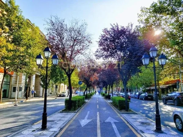 Tirane, jepet me qera ambjent biznesi , 265 m² 8.500 € 