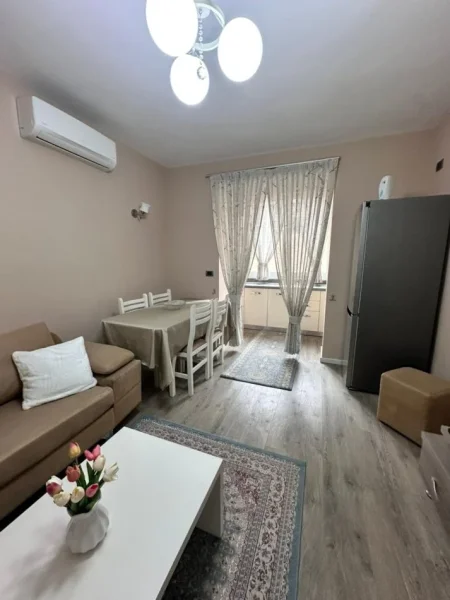 Tirane, jepet me qera apartament 2+1 Kati 2, 75 m² 700 € (Rruga Viktor Eftimiu)