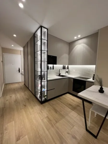 Tirane, jepet me qera apartament 1+1 Kati 8, 60 m² 600 € (Siri Kodra)