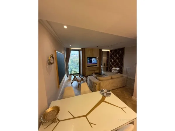 Tirane, jepet me qera 1+1 Kati 7, 88 m² 1.300 € (Liqeni Tiranes Rruga e Elbasanit)