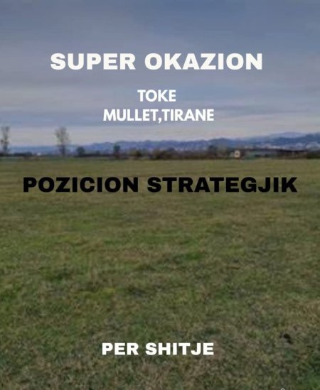 Tirane, shitet toke , 2.810 m² 