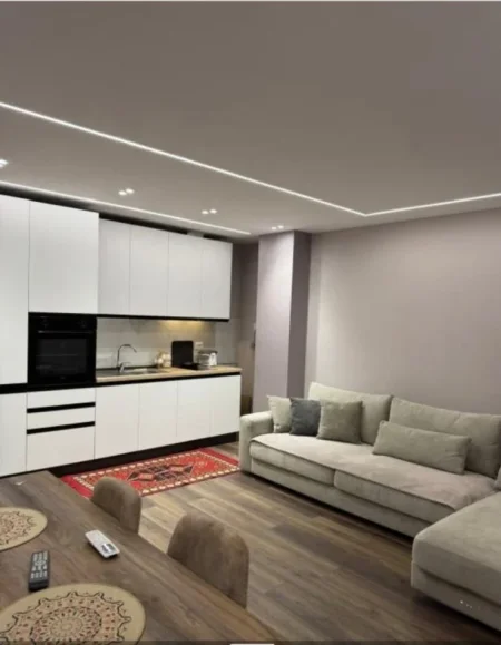 Tirane, jepet me qera apartament 1+1 Kati 1, 65 m² 700 € (Rruga "Haxhi Dalliu")