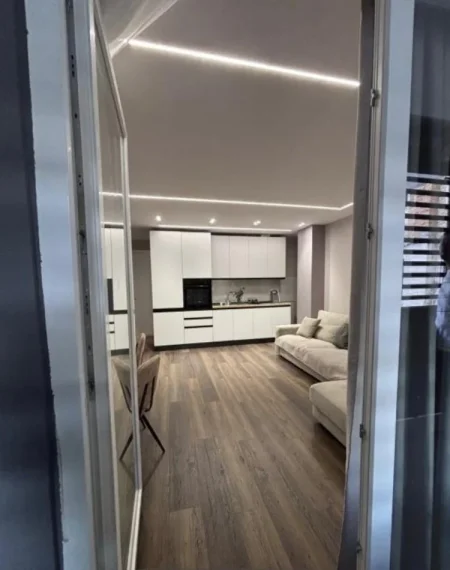 Tirane, jepet me qera apartament 1+1 Kati 1, 65 m² 700 € (Rruga "Haxhi Dalliu")