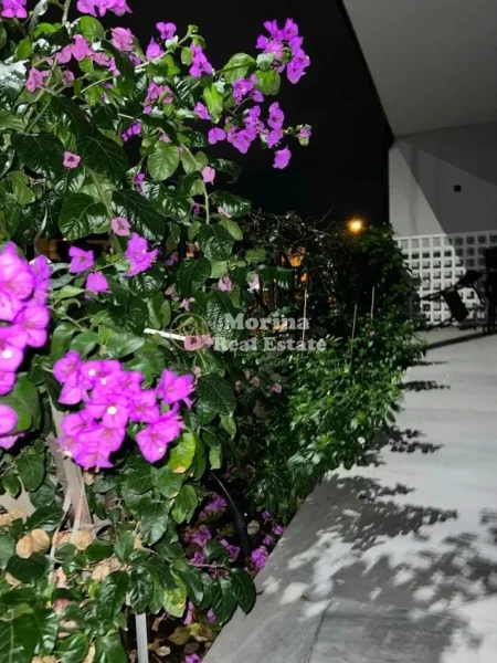 Tirane, jepet me qera shtepi 1+1 Kati 1, 75 m² 600 € (Selite)