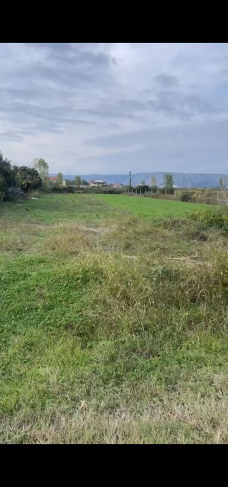 Shengjin, shitet toke , 500 m² (Ishull shengjin)