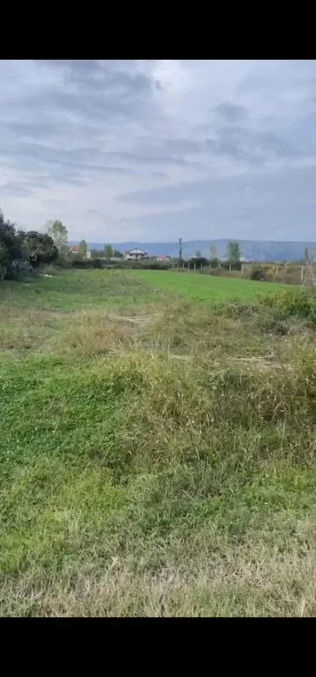 Shengjin, shitet toke , 500 m² (Ishull shengjin)