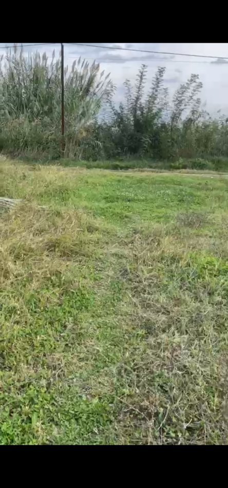 Shengjin, shitet toke , 500 m² (Ishull shengjin)