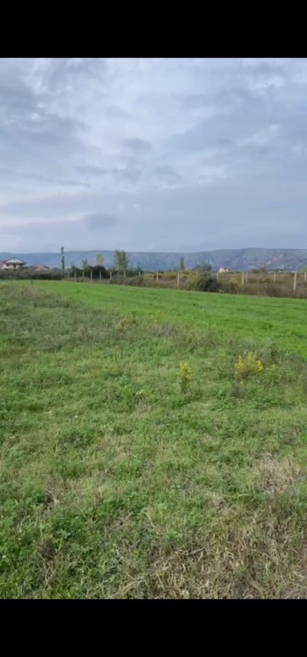 Shengjin, shitet toke , 500 m² (Ishull shengjin)