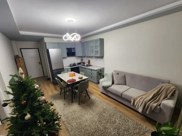 Tirane, jap me qera apartament 1+1 Kati 5, 70 m² 550 € (Rruga e Dajtit, ne afersi me restorant Fresku)