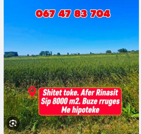 Tirane, shes toke , 8.000 m² 400.000 € 