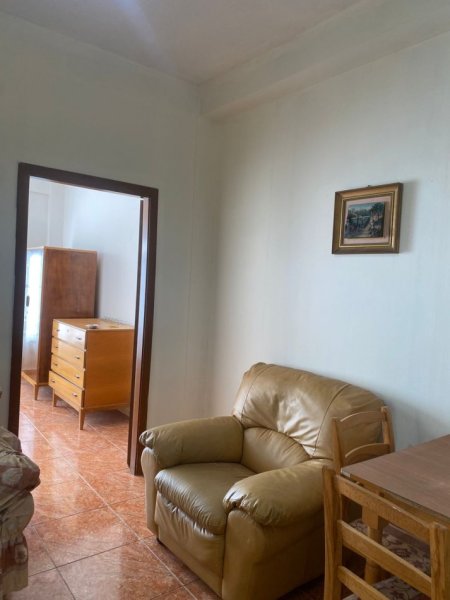 Tirane, jap me qera apartament 1+1 Kati 1, 50 m² 280 € (Rruga “Haxhi Isuf Banka”,Selite,Tirane)
