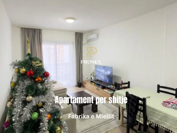 Tirane, shitet apartament 2+1 Kati 6, 111 m² 165.000 € (Fabrika e Miellit)