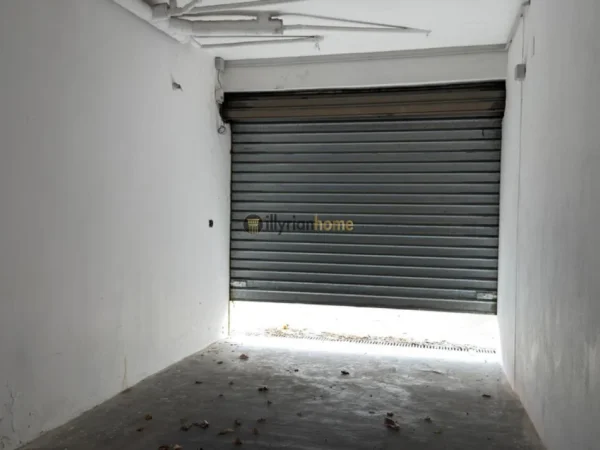 Tirane, jepet me qera Vile , 1.350 m² 10.000 € (Rruga e Elbasanit)