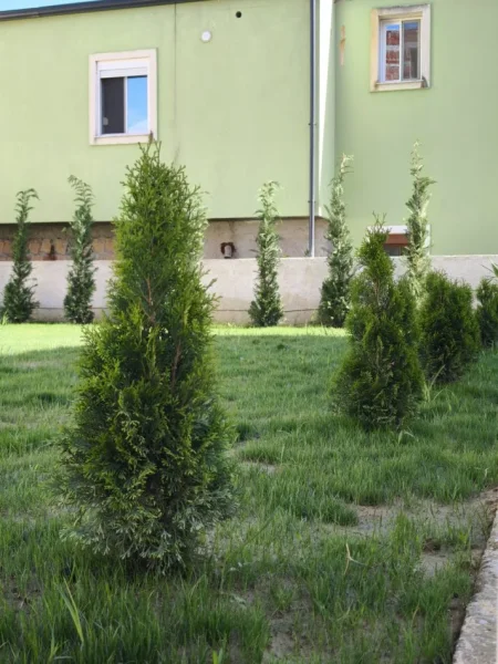 Tirane, shitet Vile , 600 m² 270.000 € (DURRES)