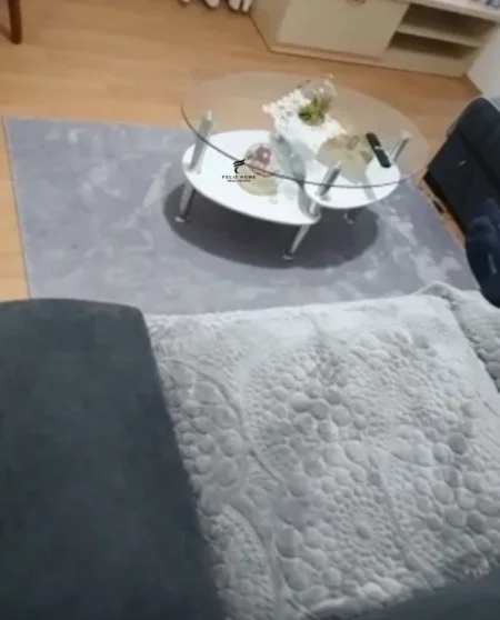 Tirane, jepet me qera apartament 1+1 Kati 4, 65 m² 450 € (PALLATI ME SHIGJETA)