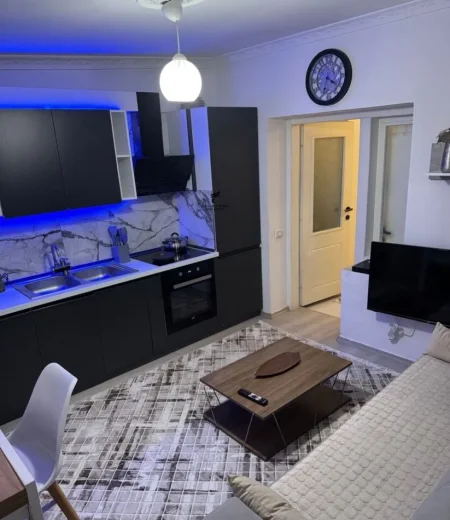 Tirane, jepet me qera apartament 1+1 Kati 1, 60 m² 500 € (RRUGA E DIBRES)