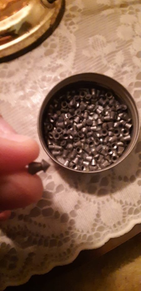 Shkoder, shes Pushk sportive me ajer 500 €