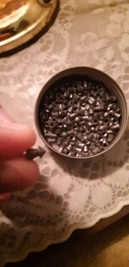 Shkoder, shes Pushk sportive me ajer 500 €