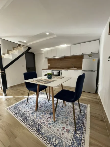 Tirane, jepet me qera nga Pronari, pa-komision garsonier 1+1 Kati 0, 30 m² 500 € (Rruga e Durresit, afer Mullirit)