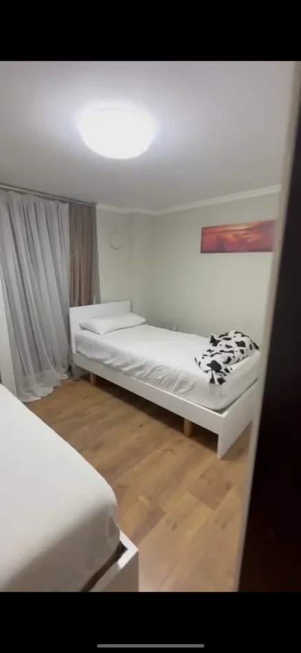 Tirane, ndarje qeraje apartament 2+1 , 500 € (250€ secila) Rruga e Elbasanit