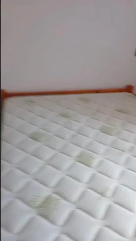 Tirane, jepet me qera shtepi 1+1 Kati 0, 60 m² 300 € (ruga 5 maj)