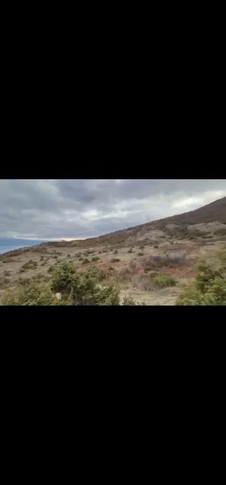 Pogradec, shitet toke , 2.500 m² (Piskupat / Buqez)