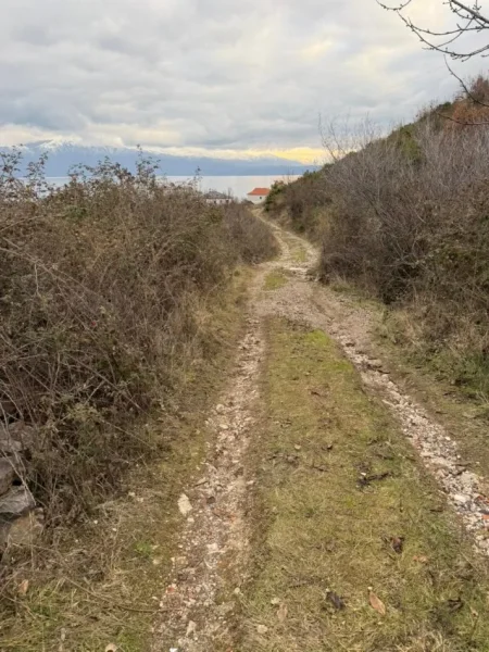 Pogradec, shitet toke , 2.500 m² (Piskupat / Buqez)