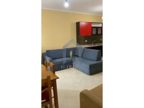 Tirane, jepet me qera apartament 1+1 Kati 1, 65 m² 350 € (Rruga Pallatet e Verdha)