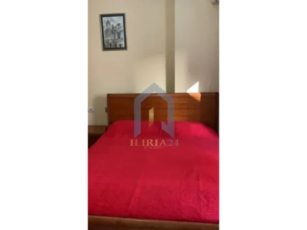 Tirane, jepet me qera apartament 1+1 Kati 1, 65 m² 350 € (Rruga Pallatet e Verdha)