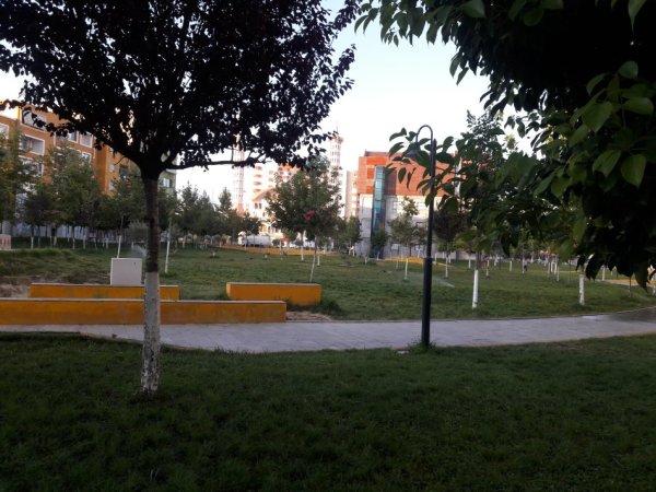 Në Parkun Qendror të Fierit, prona shitet për biznes