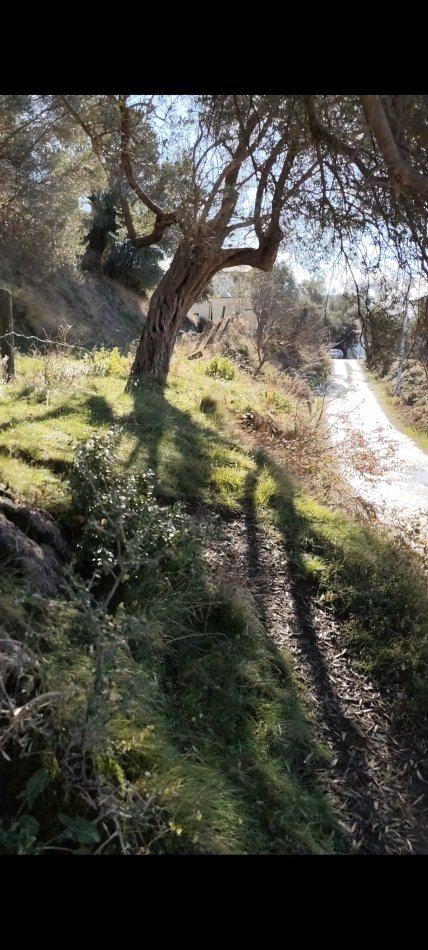 Tirane, shitet truall , 200 m² (Linze)