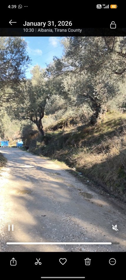 Tirane, shitet truall , 200 m² (Linze)