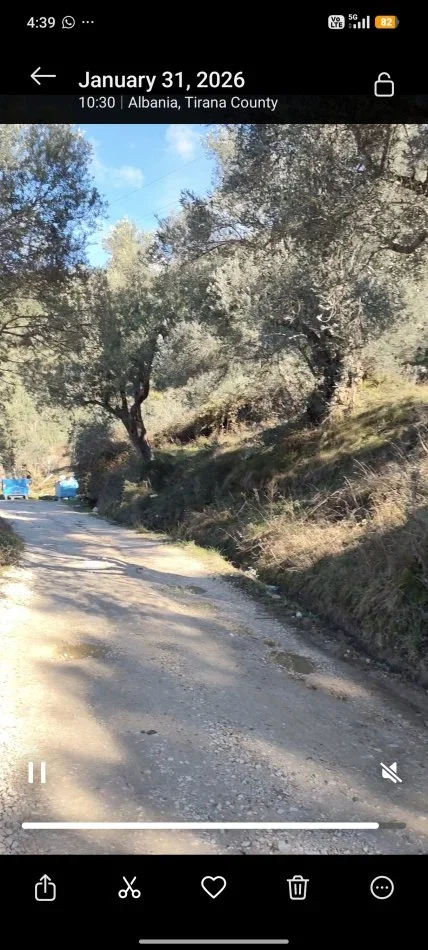 Tirane, shitet truall , 200 m² (Linze)