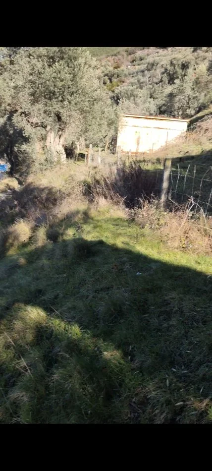 Tirane, shitet truall , 200 m² (Linze)