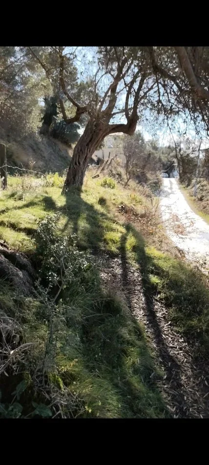 Tirane, shitet truall , 200 m² (Linze)