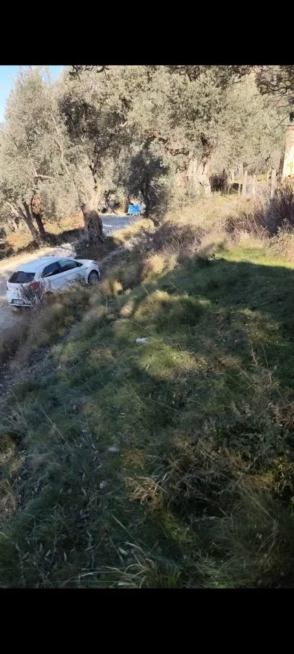 Tirane, shitet truall , 200 m² (Linze)