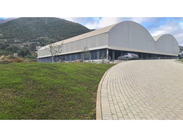 Tirane, shes ambjent biznesi Kati 0, 9.000 m² 1.400.000 € (Linze)