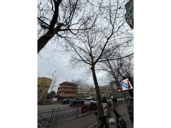 Tirane, shitet Kati 1, 32 m² 130.000 €