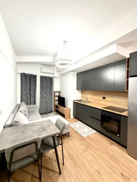 Shqiperi, jepet me qera apartament 1+1 Kati 0, 45 m² 350 € (Rruga Namik Delvina)